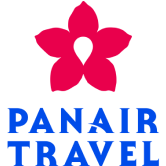 Pan air travel logo